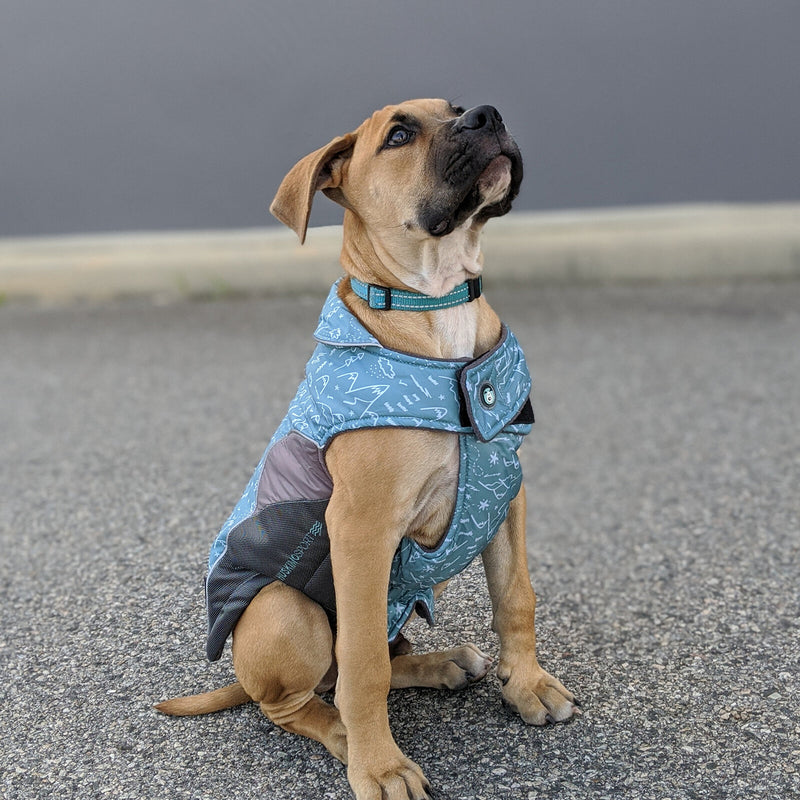 tan dog wearing Huskimo Dog Coat Sherpa Alpine, pet essentials warehouse