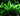 Blue Hygrophila Live Aquatic Plant, Live Plants, Live Aquatic Plants, Pet Essentials Warehouse.