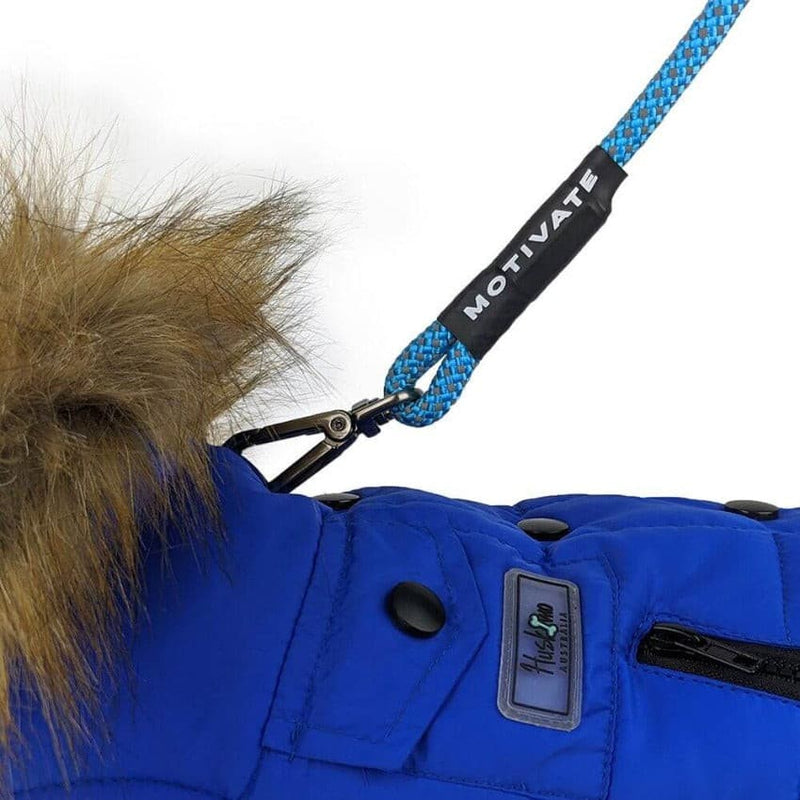 Huskimo Everest Royal Blue Dog Coat, Blue Huskimo Bells Beach Blue lead