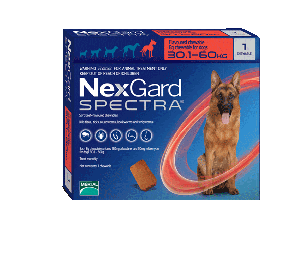 Online flea treatment hot sale