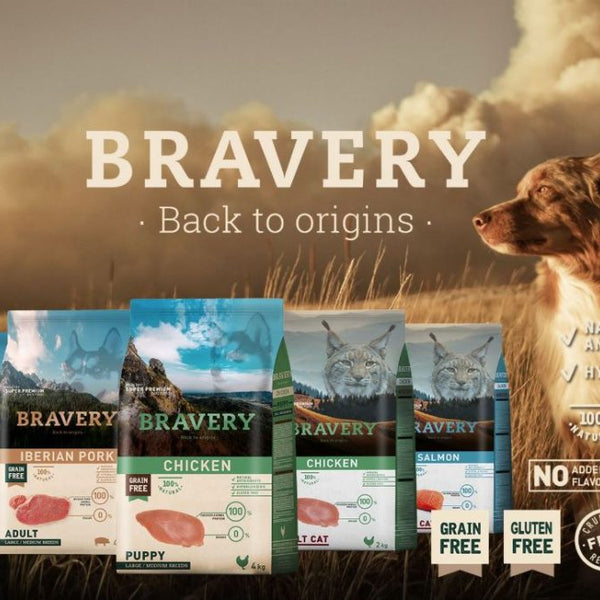 Braveness 2025 dog food