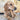 Coffee Wood Dog Chew Toys