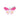 My Family ID Tag Butterfly Cat ID & Name Tags, Pet Essentials Warehouse