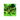 Cryptocoryne Plants Fish, Pet Essentials Warehouse
