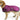 Huskimo Purple Dog Coat, Golden Retriever Dog Wearing Huskimo Coat 