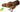 Chicken Treat Roller & Mealworm Dispenser, Avian Care,  Mealworm Dispenser,  Pet Essentials Warehouse.