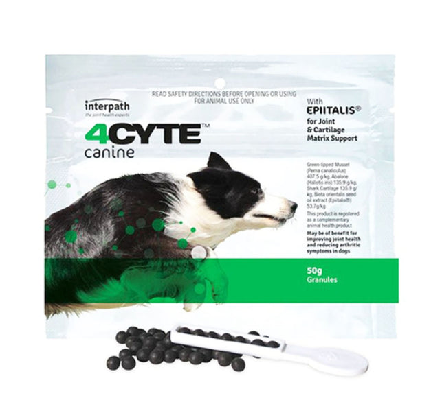 4CYTE Canine Granules 50g, dog joint support supplement, pet essentials warehouse