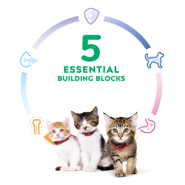 Hills Kitten food, Pet Essentials Warehouse