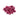 Kangaroo Cubes Raw Pet Food, Frozen Raw Food,  Dog Food Raw,  Pet Essentials Warehouse.