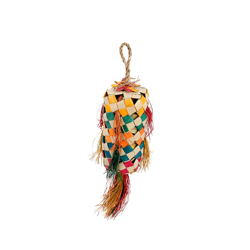 Avian Care Foraging Pinata, Bird toy, toys for birds, foraging bird toy, Pinata bird toy, Pet Essentials Warehouse