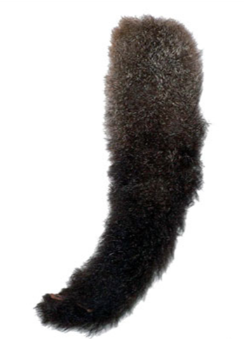 Possum Tails, Cat Toys, Hours of fun for cats, Pet Essentials Warehouse