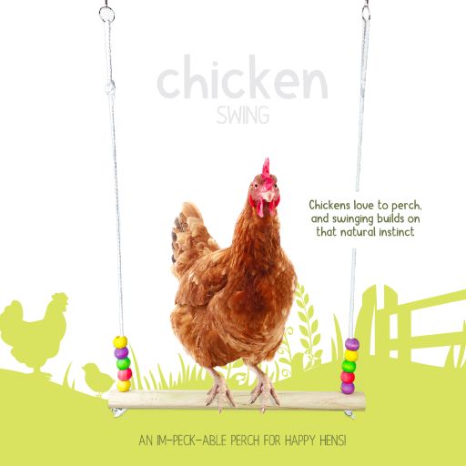 Avian Care Poultry Swing, Swing for chickens, Happy Chickens, Chicken Swing, enrichment for chicekens, Pet Essentials Warehouse