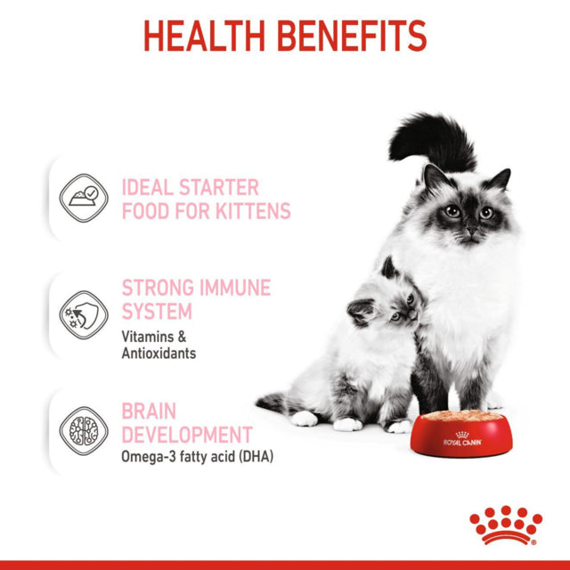 Royal Canin Mother and Baby Mousse, Baby Kitten food, Mother and Baby food, Royal Canin Wet food, Pet Essentials Warehouse