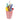 Avian Care Carnival Favour Box, Avian Care,  Bird Toys,  Pet Essentials Warehouse.
