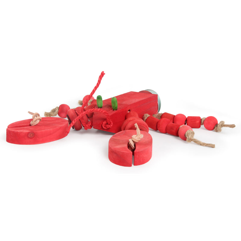 Avian Care Jimmy Halfa Lobster, Bird toy, toy for birds, Chew toy for birds, Toys for parrots, hangs off the cage, Pet Essentials Warehouse