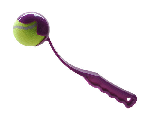 Tennis Ball & Throw Stick Small, Interactive dog toys, dog thrower, ball thrower, Pet Essentials Warehouse