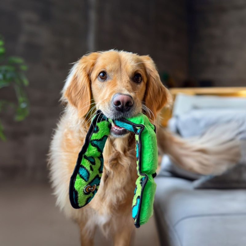 Golden Labrador playing with Snuggle Friends Plush Snake with Squeakers Dog Toy, Pet Essentials Warehouse