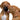 Kong Extreme Ball Dog Toy, Kong,  Chew Toys,  Pet Essentials Warehouse.