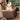 Petsafe Happy Ride Booster Seat, PetSafe,  Booster Seats,  Pet Essentials Warehouse.