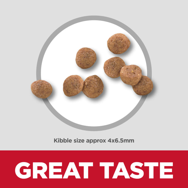 Hills Canine Puppy Small Paws Dog Food