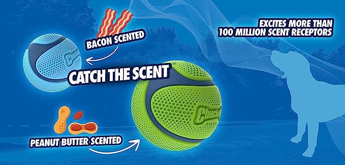Chuckit Sniff Fetch Ball bacon & peanut butter scented poster, pet essentials warehouse