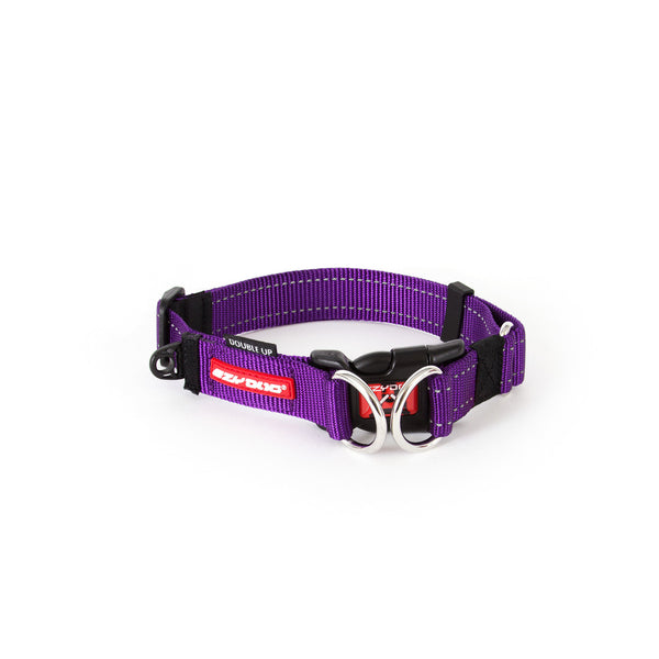 EzyDog Double Up Collar Purple, Purple dog collar, pet essentials warehouse