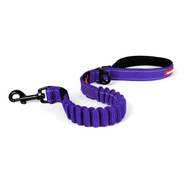 EzyDog Zero Shock Lead Purple 60cm, pet essentials warehouse