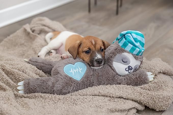 foxy puppy dog sleeping next to Trixie Junior Sloth Heartbeat, heartbeat toy for puppies