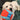 Chuckit! Indoor Ball Dog Toy, Chuckit,  Fetch Toys,  Pet Essentials Warehouse.