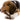 Nylabone Strong Chew Wood Stick Dog Toy, Nylabone,  Chew Toys,  Pet Essentials Warehouse.