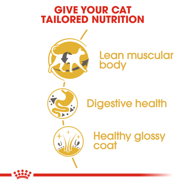 Royal Canin Siamese Adult Dry Cat Food, Siamese food for cats, Food for Siamese cats, Tailor made kibble, Royal Canin Cat food, Pet Essentials Warehouse