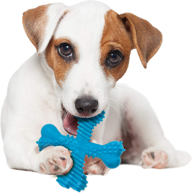 Dog playing with Nylabone Power Chew X Bone dog toy, Pet Essentials Warehouse