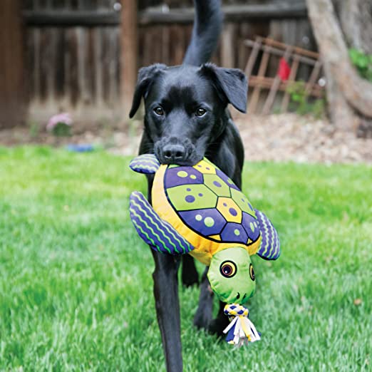 Black Lab dog playing with Kong Aloha Turtle Canvas Dog Toy, pet essentials warehouse