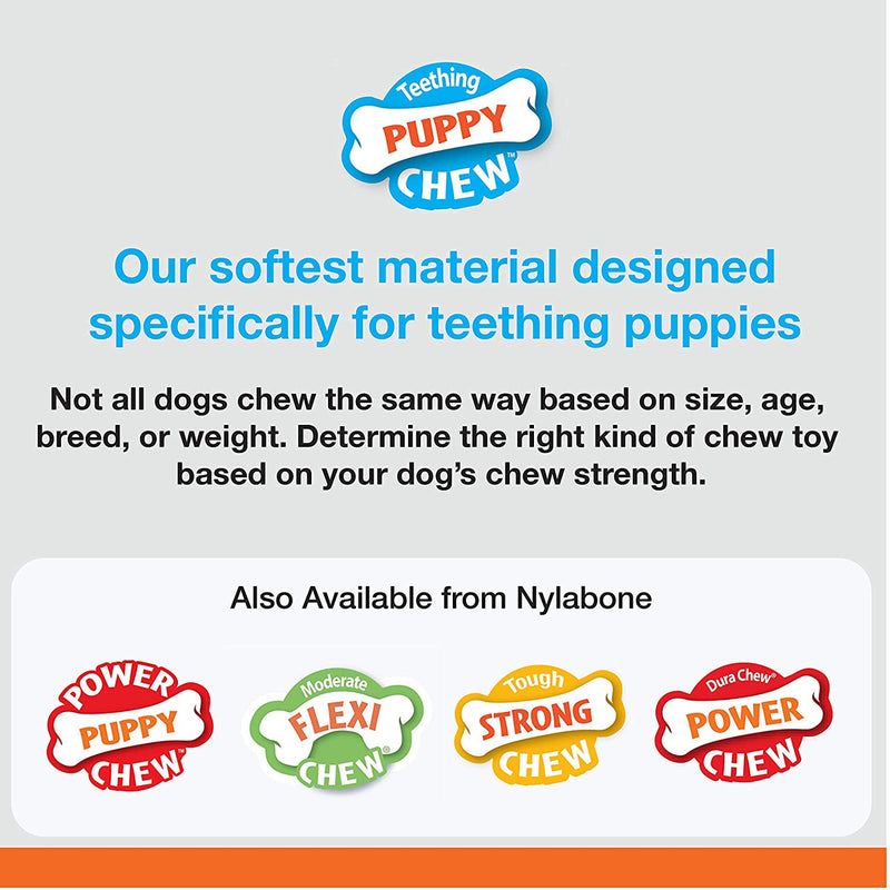 teething puppy chew nylabone poster, pet essentials warehouse