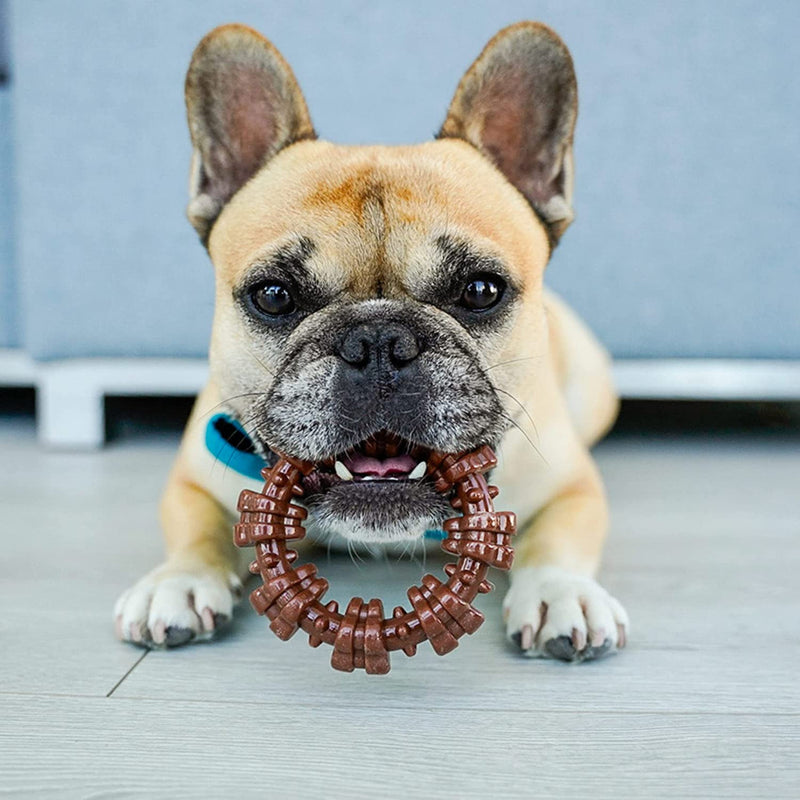 french bulldog Dog playing with Nylabone Dura Chew Textured Ring, French Bulldog, Pet Essentials Warehouse
