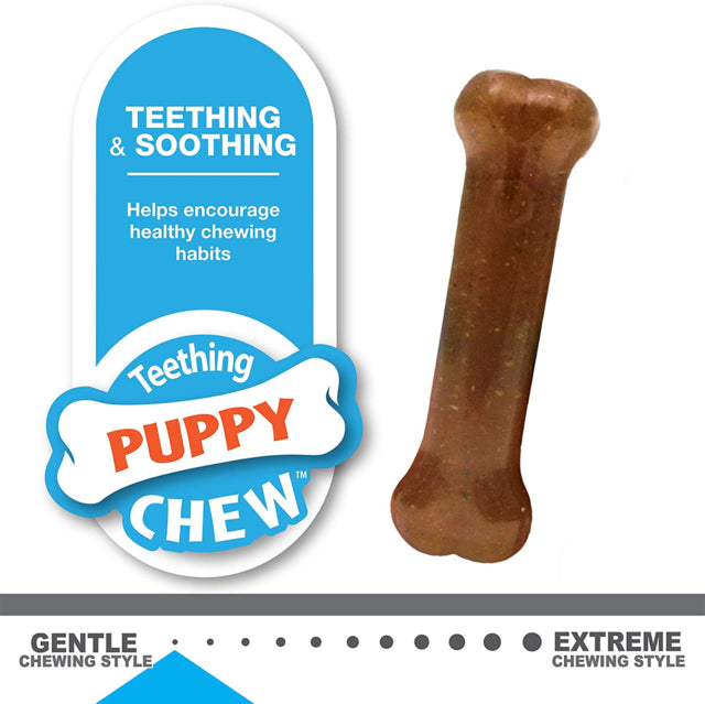 Nylabone Puppy Starter Kit Dog Toy, Puppy chew toy, Pet Essentials Warehouse, Poster, Teething puppies