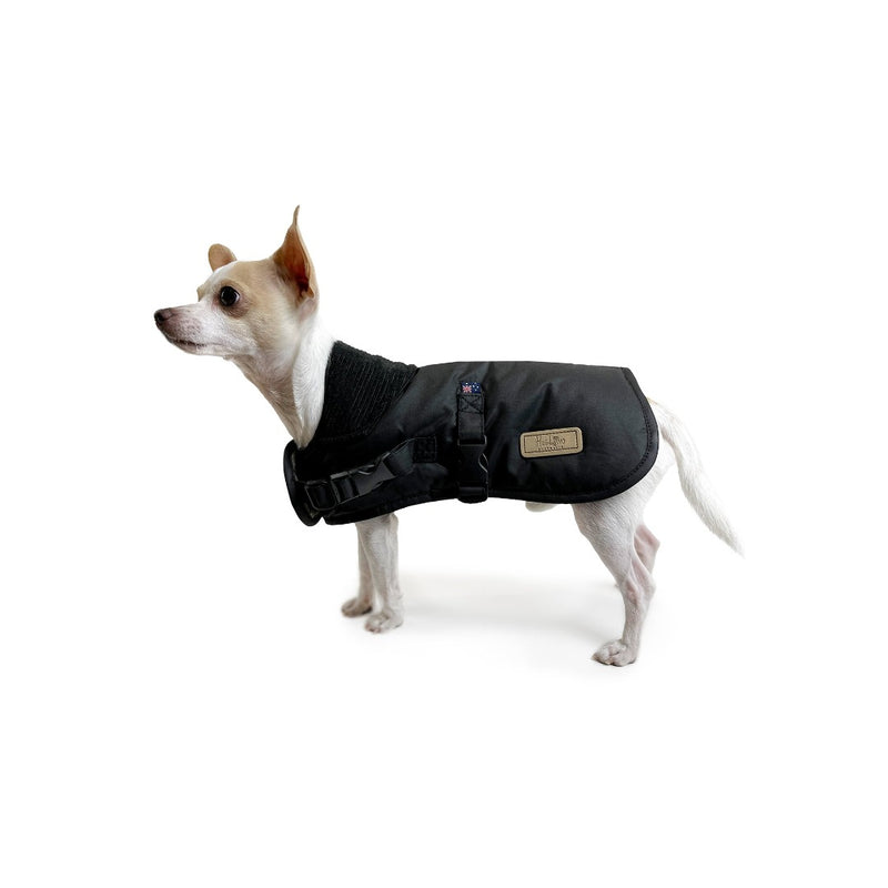 small white dog wearing Huskimo Coat Waxed Cotton Thunder, pet essentials warehouse,
