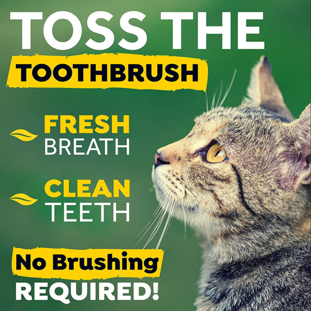 TropiClean Fresh Breath Dental Solution for Cats