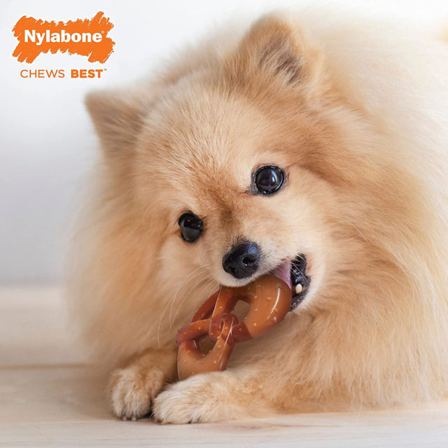 Dog ChewingNylabone Power Chew Pretzel Chew Toy, Pet Essentials Warehouse