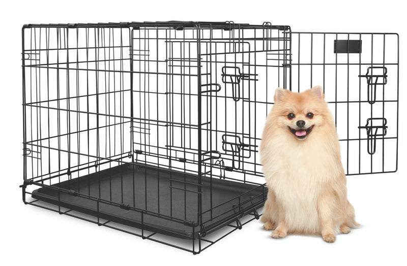 Pom standing next to a Yours Droolly Double Door Dog Crate 24 inch Small, Pet Essentials Warehouse, Pet City