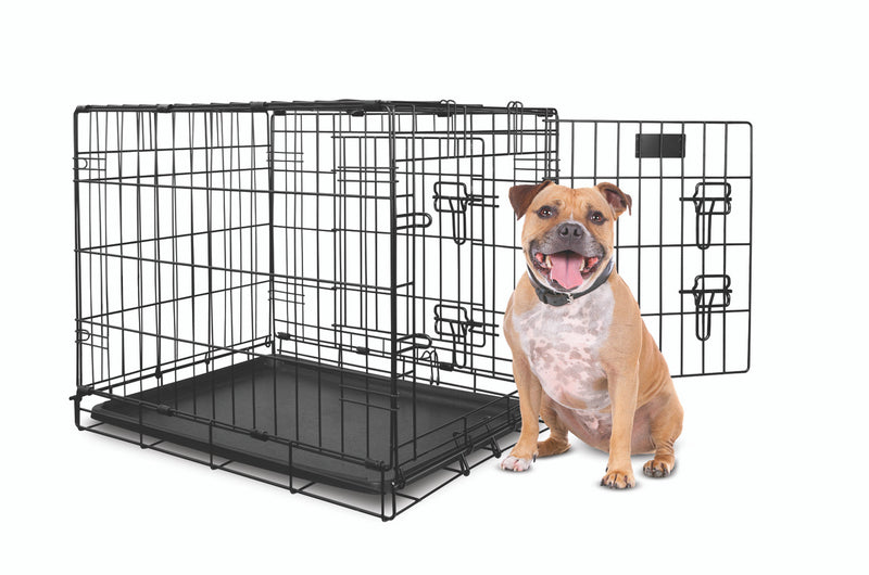 staffy dog standing next Yours Droolly Double Door Medium Dog Crate 30 inch , Pet Essentials Warehouse, Pet City