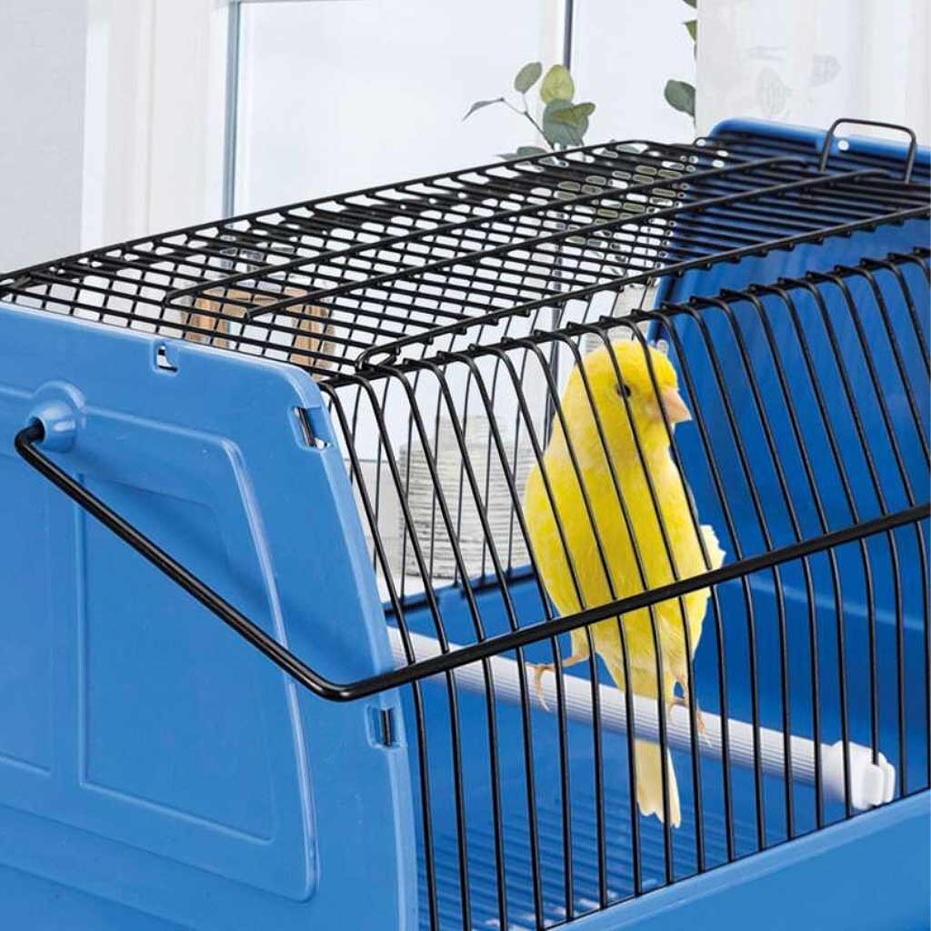 Transport Box for birds/small animals - Pet Essentials Warehouse