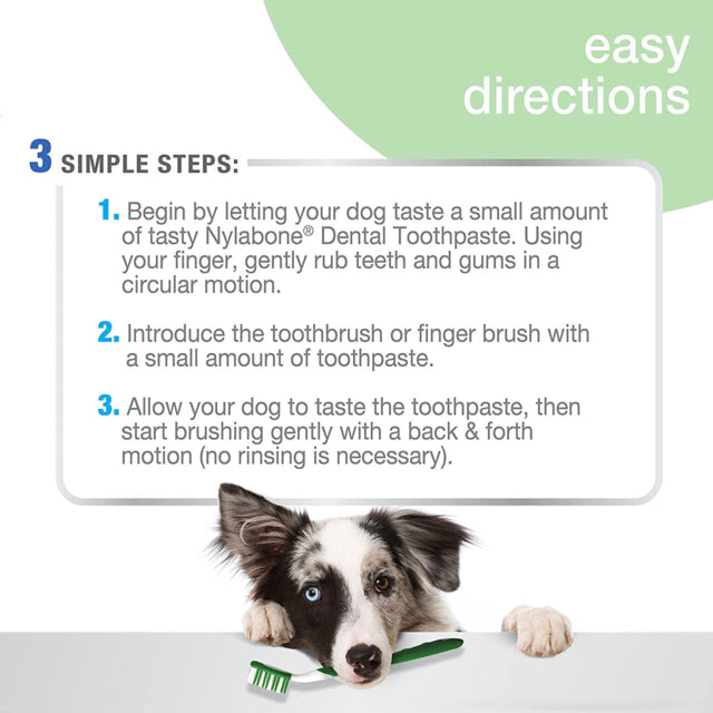 Advanced Oral Care Natural Dental Kit, How to use, Pet Essentials Warehouse