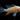 Albino Threadfin Acara, Live Fish,  American Cichlid,  Pet Essentials Warehouse.