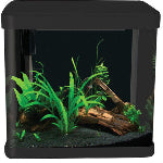 Aqua One LifeStyle 21 Fish Tank Collection Image