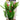 Aqua One Madagascar Lace With Gravel Base Plastic Plant, Aqua One,  Plastic Plants,  Pet Essentials Warehouse.