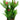 Aqua One Madagascar Lace With Gravel Base Plastic Plant, Aqua One,  Plastic Plants,  Pet Essentials Warehouse.