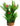 Aqua One Madagascar Lace With Gravel Base Plastic Plant, Aqua One,  Plastic Plants,  Pet Essentials Warehouse.