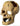 Aqua One Ornament Human Skull With Hole, Aqua Care,  Aquatic Ornaments,  Pet Essentials Warehouse.