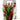 Aqua One Red Ludwigia & Green Sword With Gravel Base Plastic Plant, Aqua One,  Plastic Plants,  Pet Essentials Warehouse.